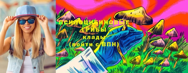 герыч Алексин