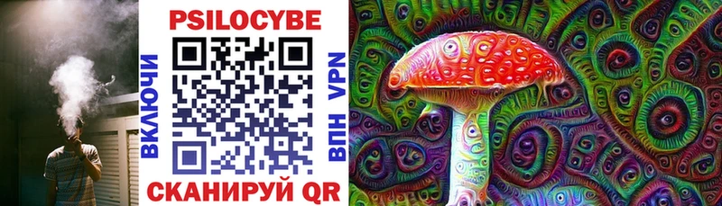 цены наркотик  Инта  Псилоцибиновые грибы Psilocybe 